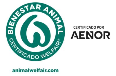 certificado welfair