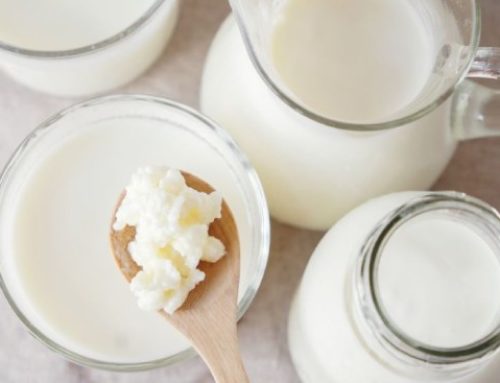¿Qué son los fermentos lácticos?