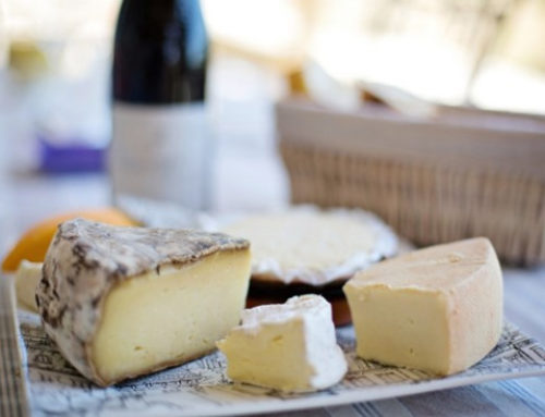 Turofobia: ¿Por qué existe el miedo al queso?